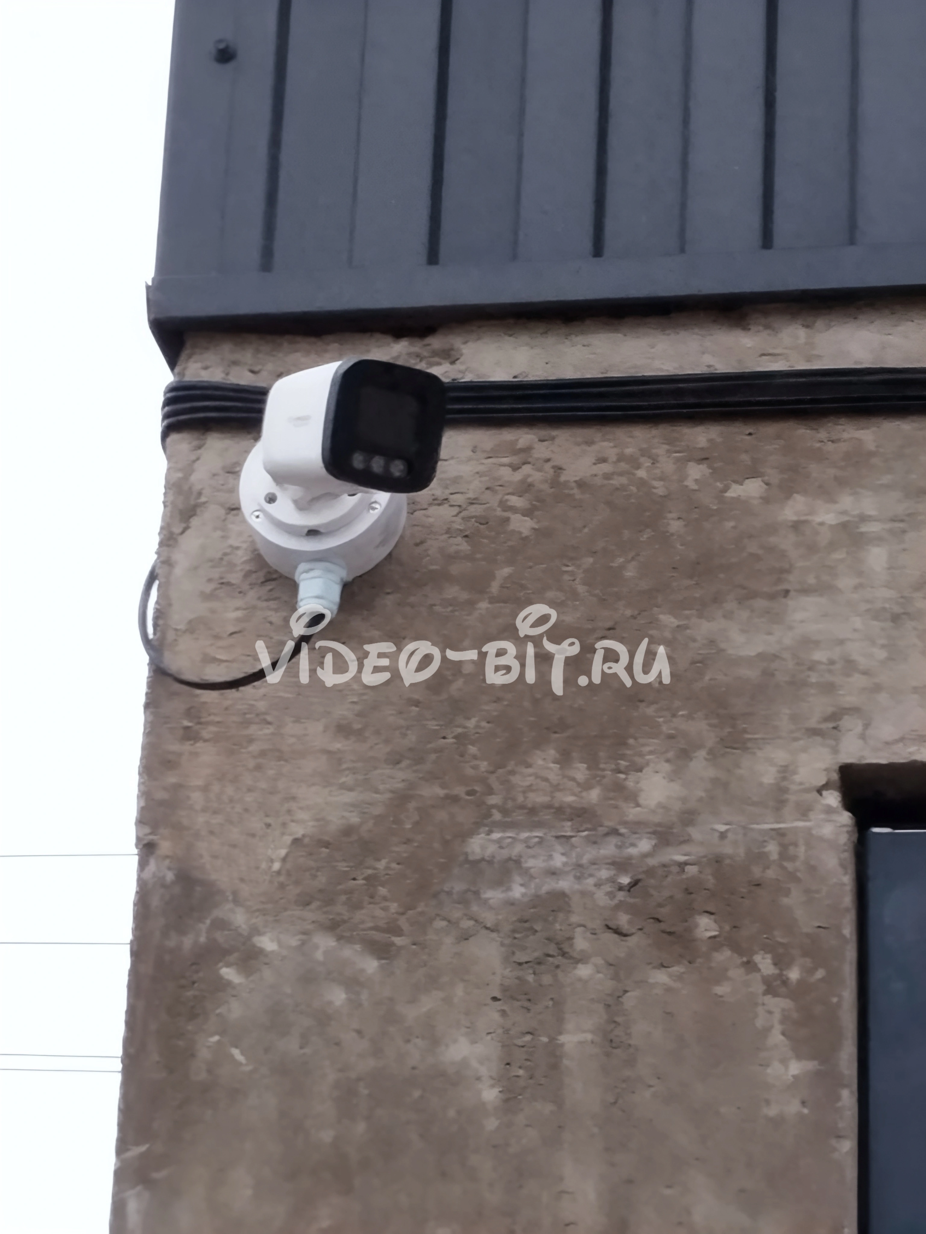 Профессиональные консультации